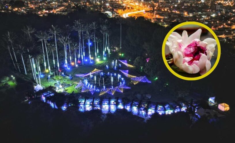 Planes Jardín Botánico Bogotá diciembre