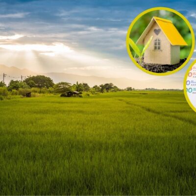 Remate de casas y lotes