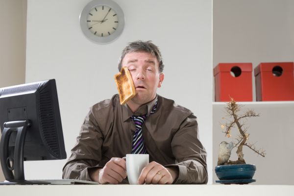 Tipo de trabajador