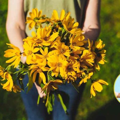 a quiénes se les deben dar flores amarillas