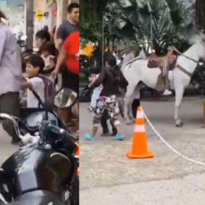 abuelo recoge a su nieto en caballo