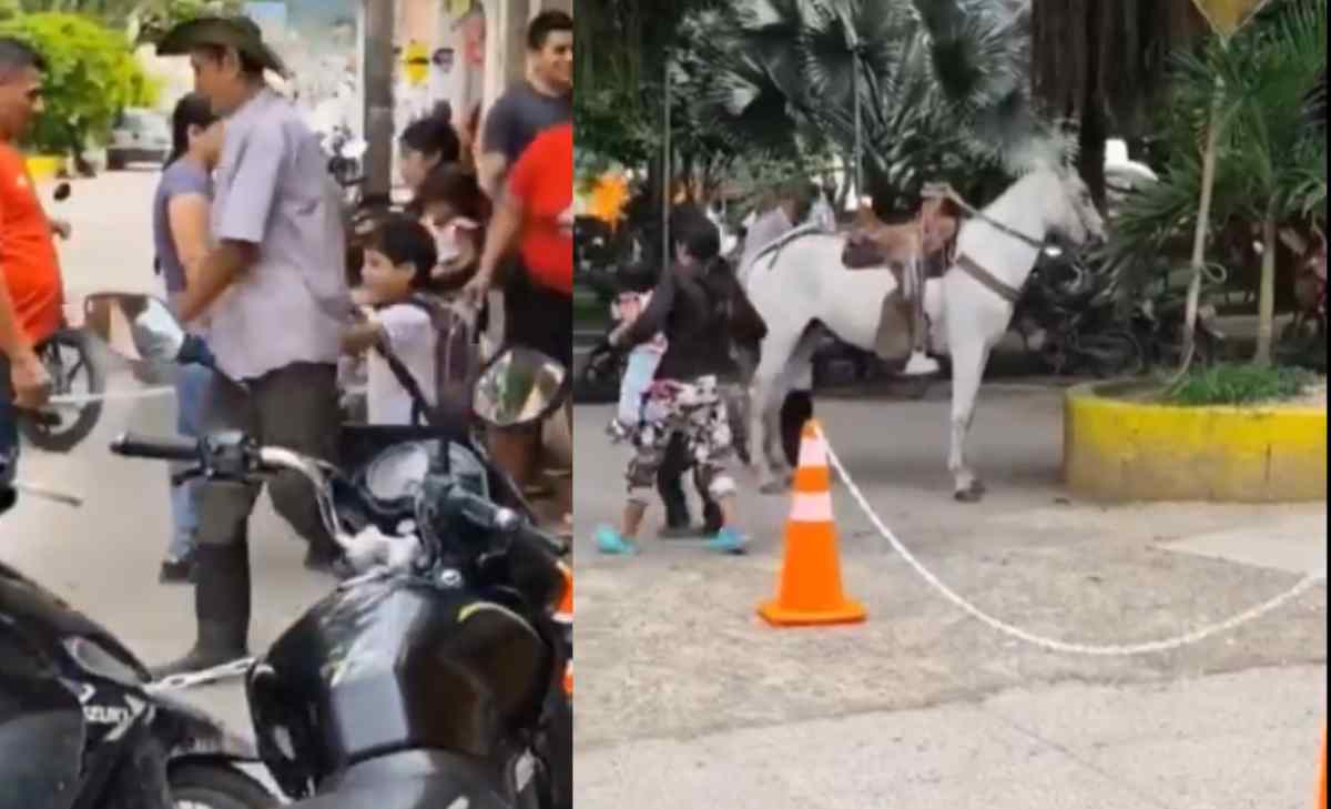 abuelo recoge a su nieto en caballo