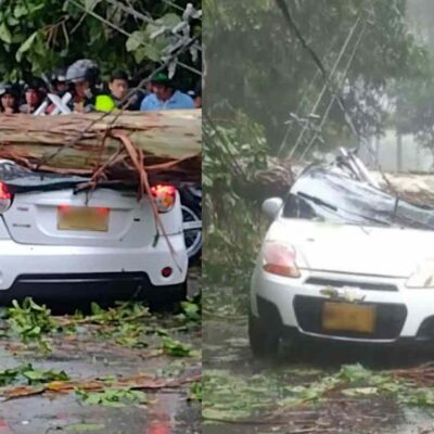 árbol cayó sobre un carro en el departamento de Tolima