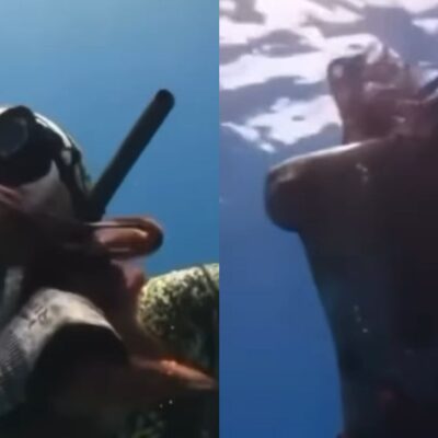 Buzo casi muere asfixiado por un pulpo