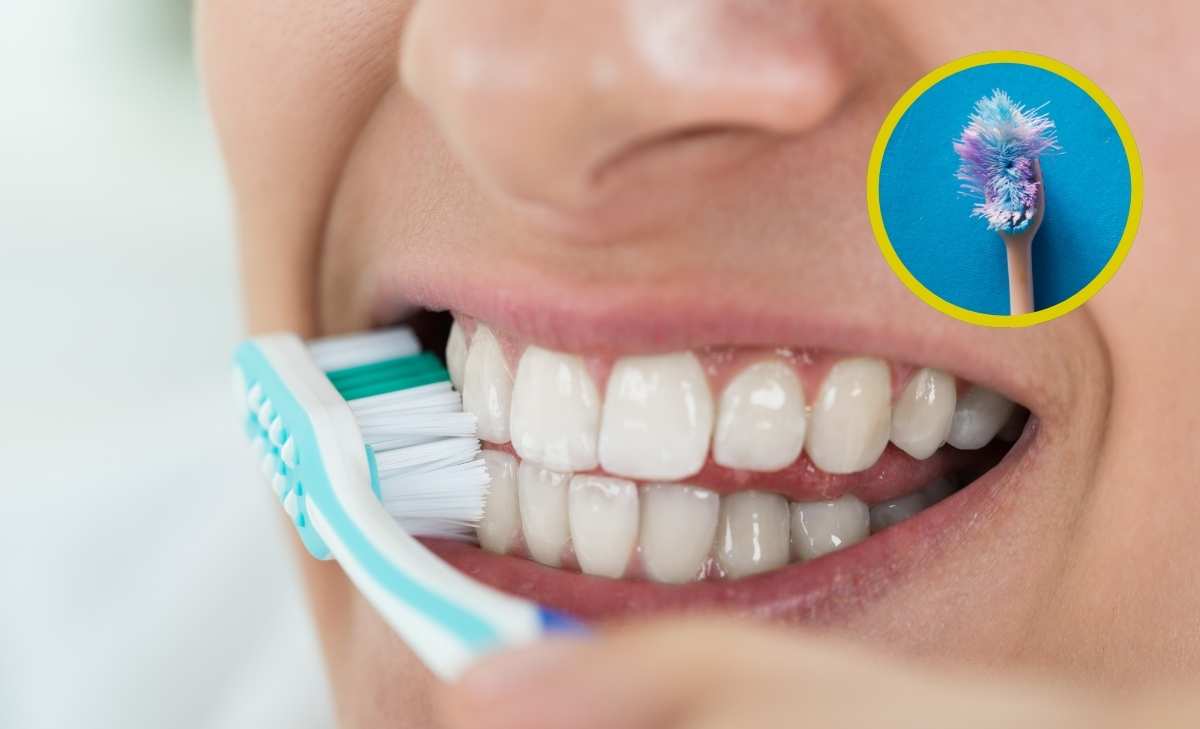 cada cuánto debes cambiar tu cepillo de dientes