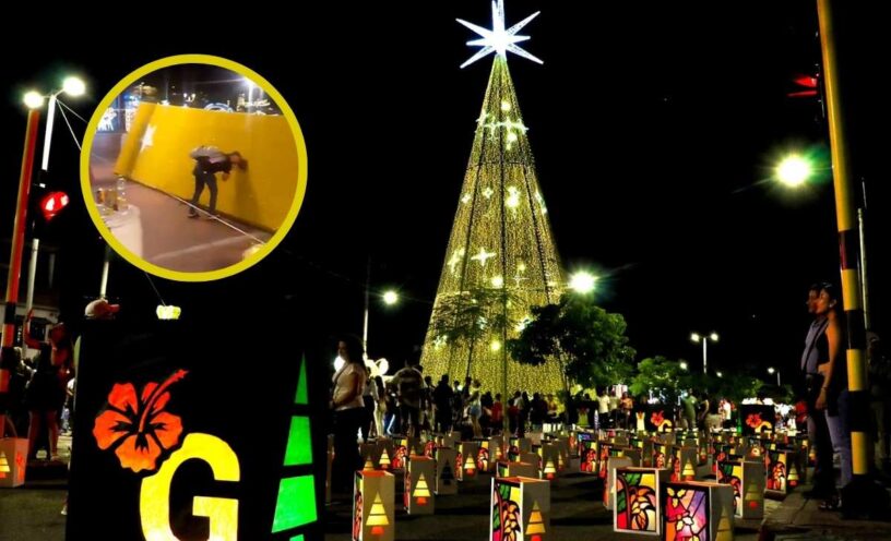 caída árbol navidad girardot