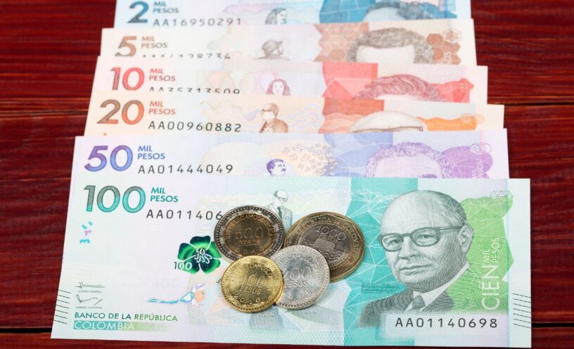 cambios del subsidio de Ingreso Mínimo Garantizado 2024