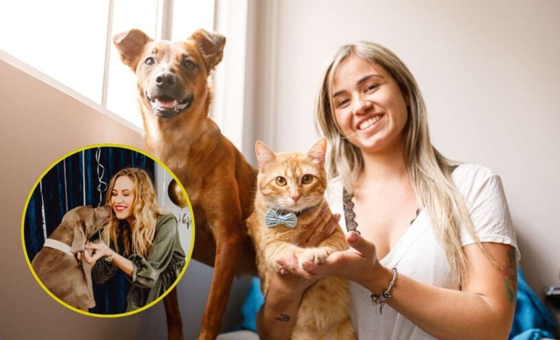 cómo cuidar tus mascotas durante la celebración de Año Nuevo