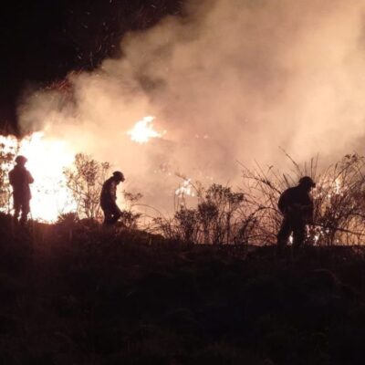 cómo quedó el Parque Nacional Chingaza después del incendio
