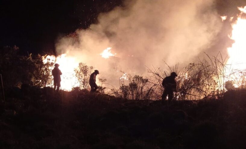 cómo quedó el Parque Nacional Chingaza después del incendio