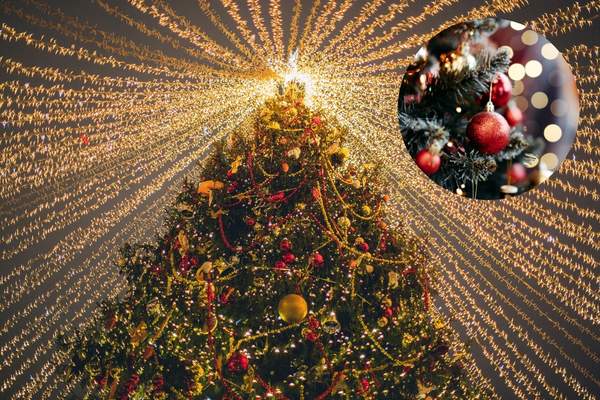 cuándo comprar el árbol de navidad