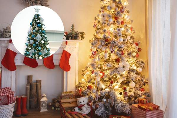 cuándo comprar el árbol de navidad