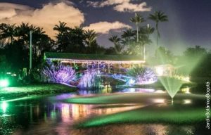 cuánto valen las entradas al festival de luces del Jardín Botánico