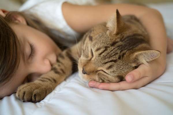 Beneficios y precauciones de dormir con mi mascota