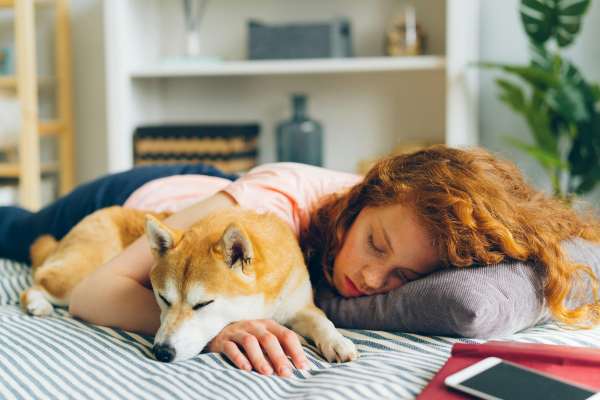 Beneficios y precauciones de dormir con mi mascota