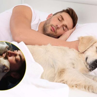 Beneficios y precauciones de dormir con mi mascota