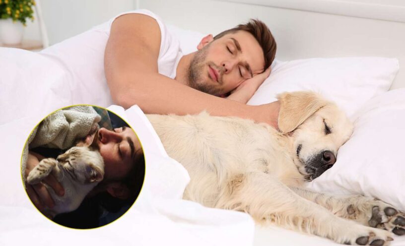 Beneficios y precauciones de dormir con mi mascota