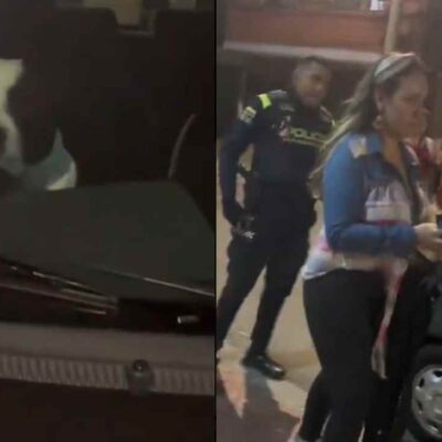 esta es la multa por caso de maltrato animal viral