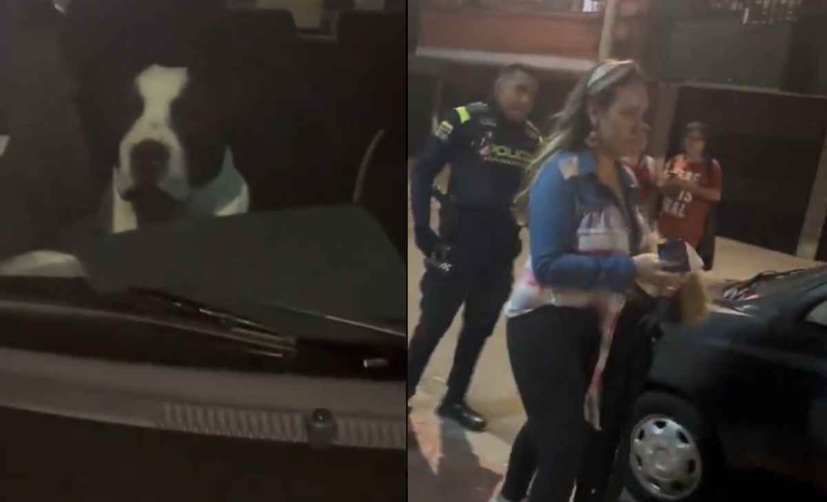 esta es la multa por caso de maltrato animal viral