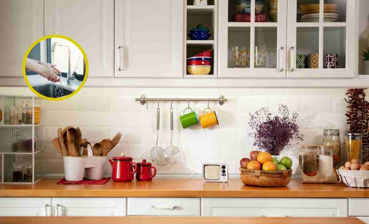 lugar de la cocina con más gérmenes