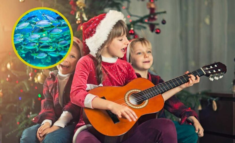 estos-son-los-secretos-detras-de-los-peces-en-el-rio-uno-de-los-villancicos-mas-populares-en-navidad