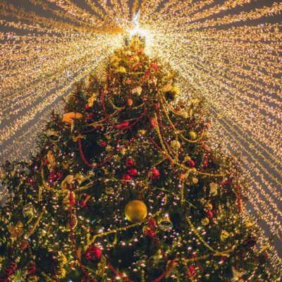historia de los arbolitos de Navidad