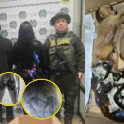 pareja de extranjeros intentando sacar crías de monos