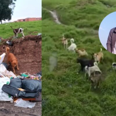 joven en Bogotá que fue atacado por perros callejeros