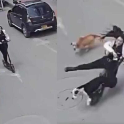 joven en patineta eléctrica sufre accidente a causa de un perro