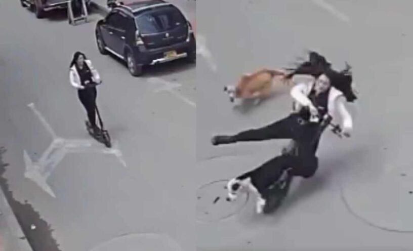joven en patineta eléctrica sufre accidente a causa de un perro