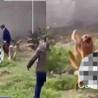 video del joven que fue atacado por 15 perros