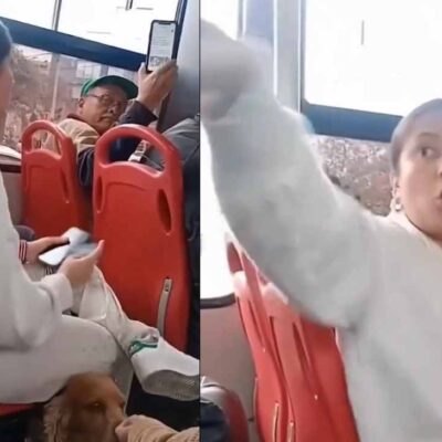 la verdad sobre video de mujer que viajó con su perro en transporte público