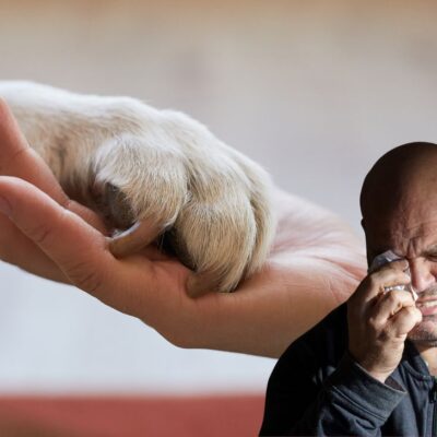 licencia por muerte de una mascota