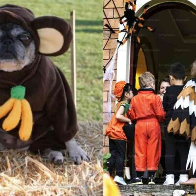 Los disfraces caseros para niños y mascotas