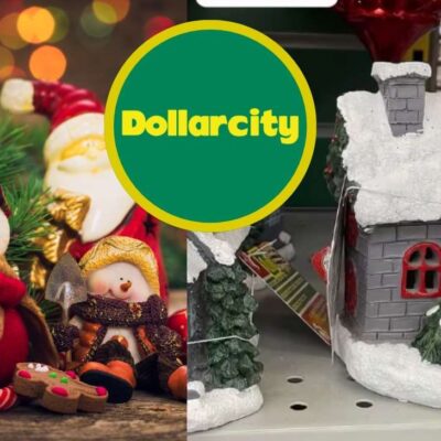 Los nuevos productos del DollarCity para Navidad por menos de 20 mil pesos