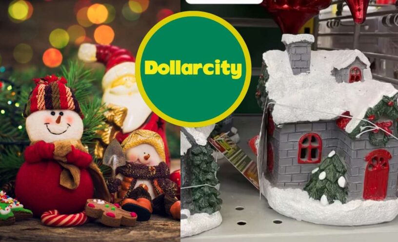 Los nuevos productos del DollarCity para Navidad por menos de 20 mil pesos