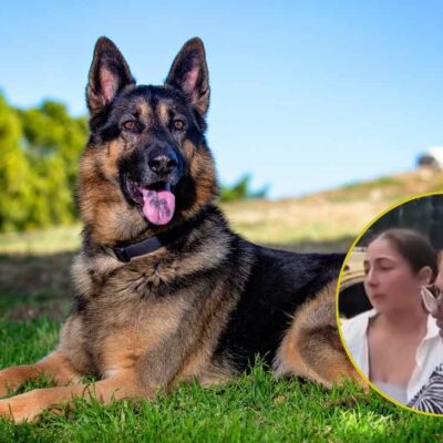 madre e hija quemaron a su perro vivo por supuesta poseción