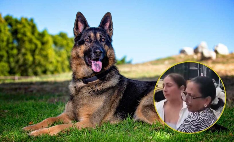madre e hija quemaron a su perro vivo por supuesta poseción