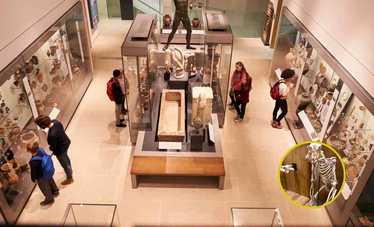madre encontró el cuerpo de su hijo desaparecido hace 20 años en un museo
