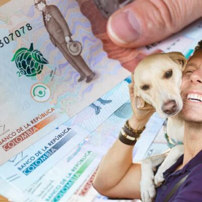 multa de más de $750.000 para dueños de perros que incumplan esta ley