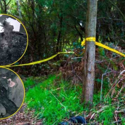 Niña de 9 años fue abusada y desvivida por una persona cercana a su familia