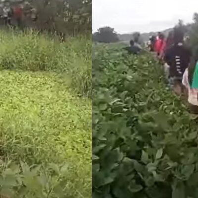 Niño desaparecido en Pereira