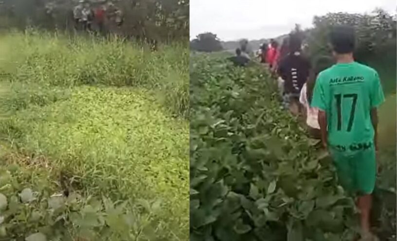Niño desaparecido en Pereira