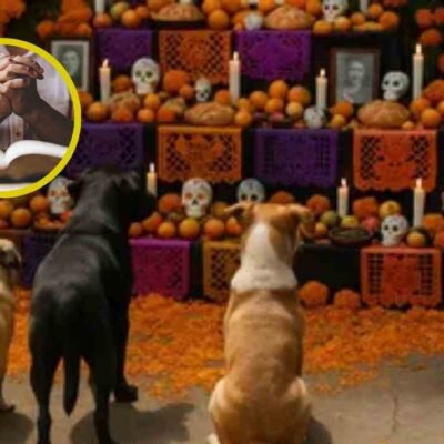 oración ideal para rendirle homenaje a tu mascota en halloween