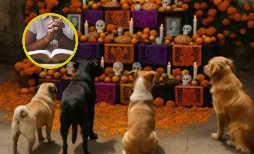 oración ideal para rendirle homenaje a tu mascota en halloween