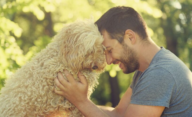 Perros que ayudan con la depresión: Beneficios y cómo mejoran tu salud mental