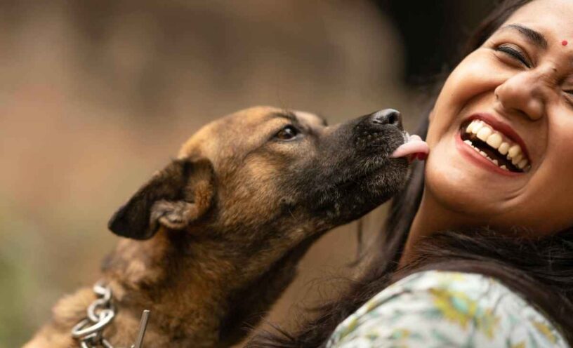 Por qué los perros lamen a las personas
