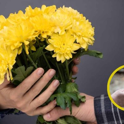 por qué se regalan flores amarillas el 21 de septiembre