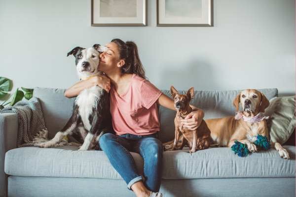 qué hacer si a tu mascota le da miedo la pólvora