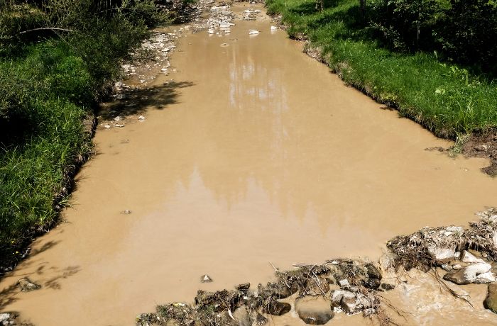Foto de un río con agua muy sucia y matas alrededor